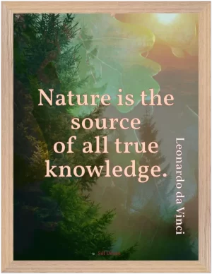 Premium framed print—Nature is the source of all knowledge (Da Vinci)