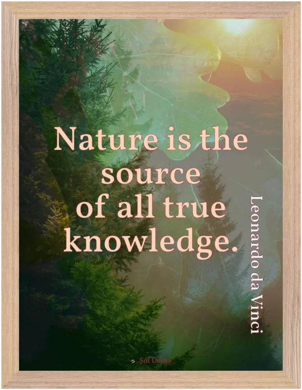 Premium framed print—Nature is the source of all knowledge (Da Vinci)
