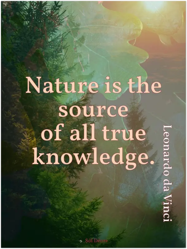 Premium matte print—Nature is the source of all true knowledge (Da Vinci)