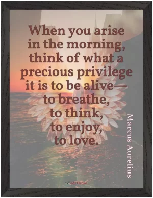 Premium framed print—When you arise in the morning (Marcus Aurelius)