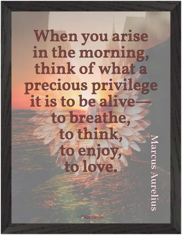 Premium framed print—When you arise in the morning (Marcus Aurelius)