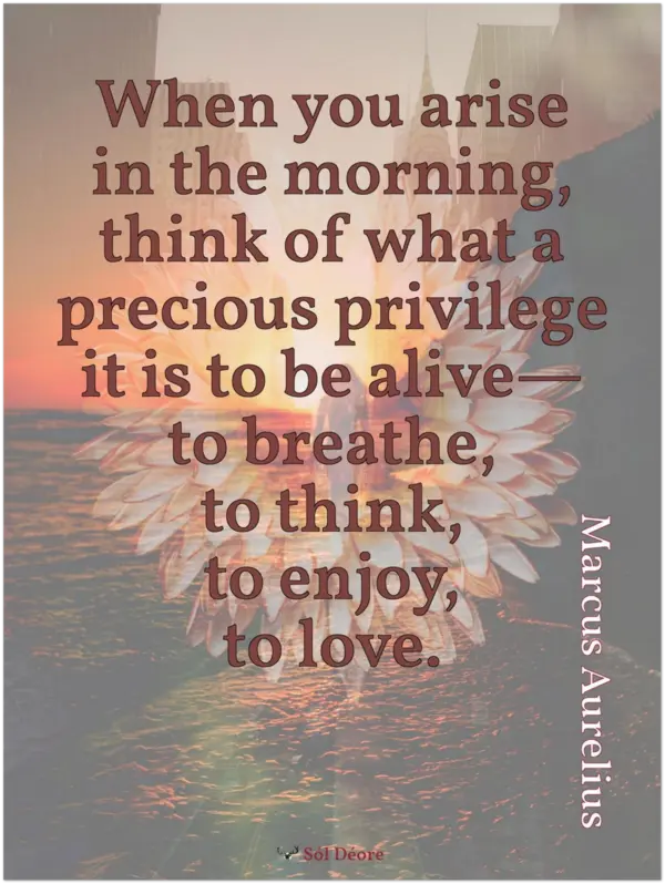 Premium matte print—When you arise in the morning (Marcus Aurelius)