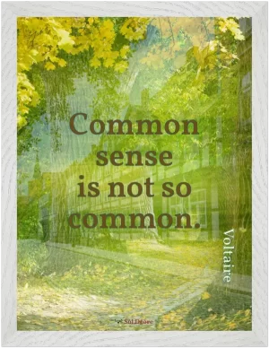 A white framed print with a quote from Voltaire, 'Common sense is not so common.'