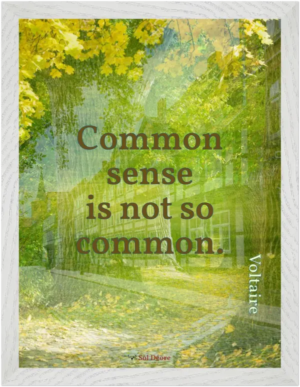 A white framed print with a quote from Voltaire, 'Common sense is not so common.'