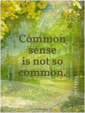 A print with a quote from Voltaire, 'Common sense is not so common.'